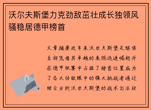 沃尔夫斯堡力克劲敌茁壮成长独领风骚稳居德甲榜首