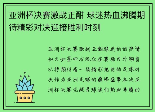 亚洲杯决赛激战正酣 球迷热血沸腾期待精彩对决迎接胜利时刻