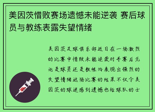 美因茨惜败赛场遗憾未能逆袭 赛后球员与教练表露失望情绪