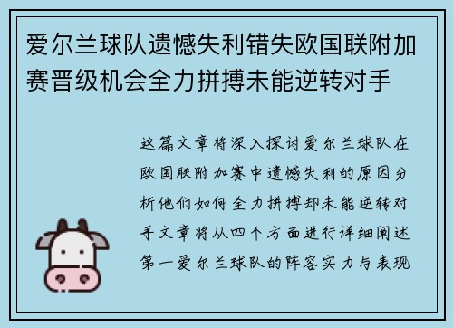 爱尔兰球队遗憾失利错失欧国联附加赛晋级机会全力拼搏未能逆转对手